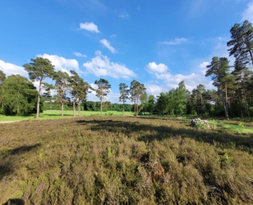 Luhmühlen Lünecup Gelände